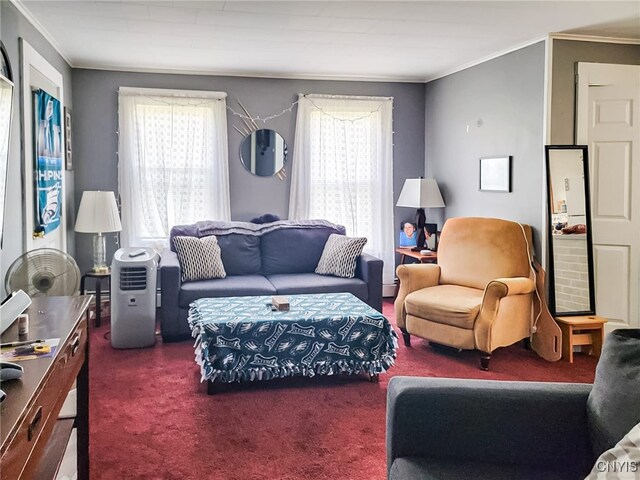 living room with crown molding and carpet floors