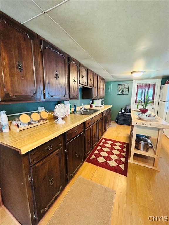 kitchen with sink, light wood-type flooring, white appliances, and dark brown cabinets