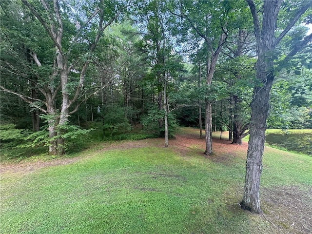 454 Fisk Hill Rd, Unadilla, NY 13849 - photo 33