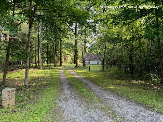 454 Fisk Hill Rd, Unadilla, NY 13849 - photo 46