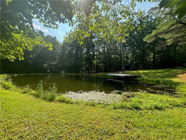 view of water feature