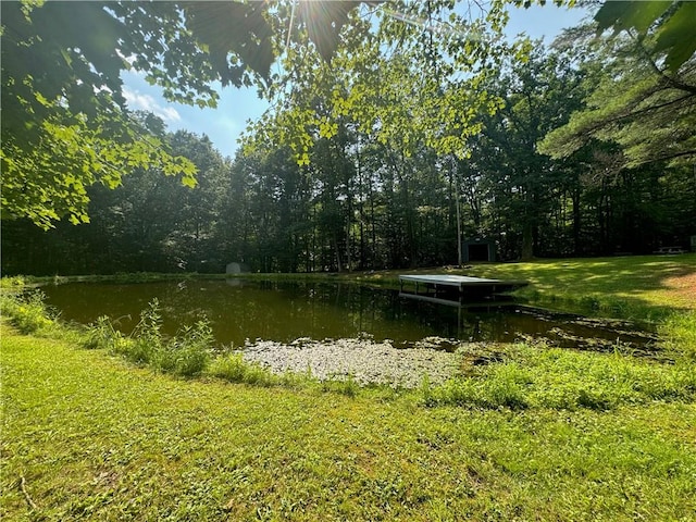 454 Fisk Hill Rd, Unadilla, NY 13849 - photo 38