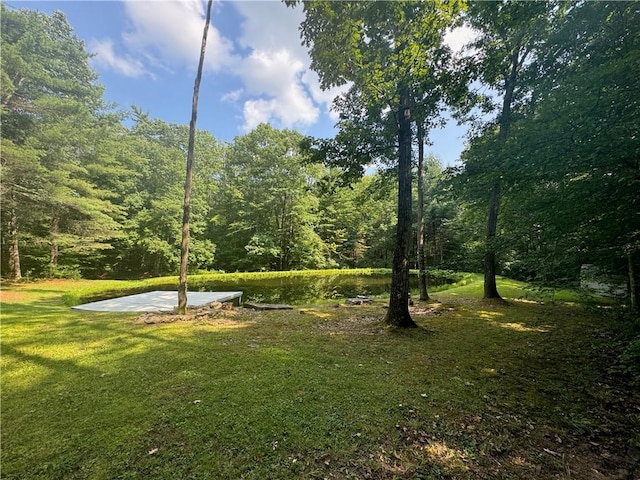 454 Fisk Hill Rd, Unadilla, NY 13849 - photo 40