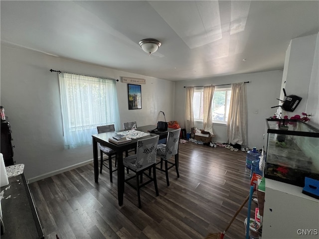 dining room with dark hardwood / wood-style floors