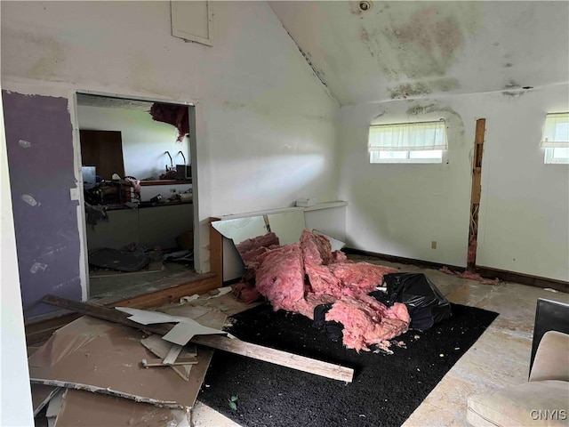 miscellaneous room featuring lofted ceiling and a wealth of natural light