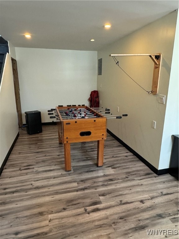 recreation room featuring wood-type flooring