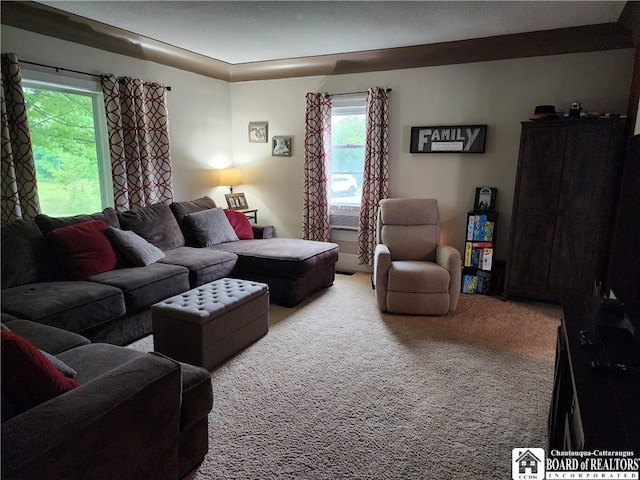 living room with carpet floors