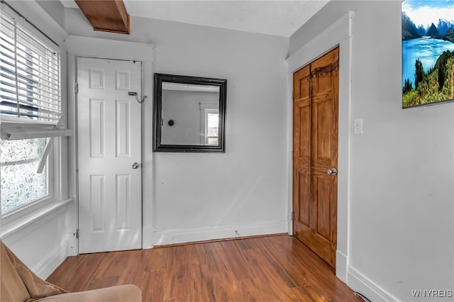 entryway with hardwood / wood-style floors, a wealth of natural light, and a textured ceiling