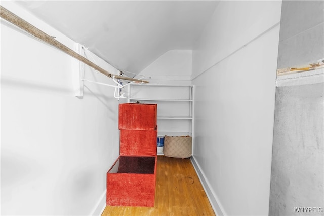 spacious closet with hardwood / wood-style flooring