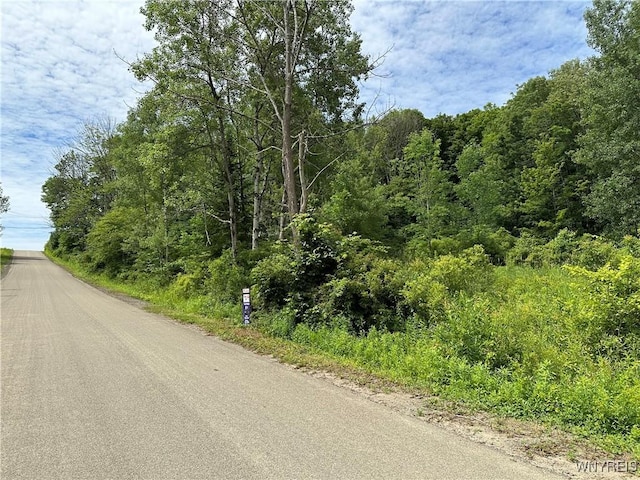 0 Simmons Rd, Ellicottville NY, 14731 land for sale