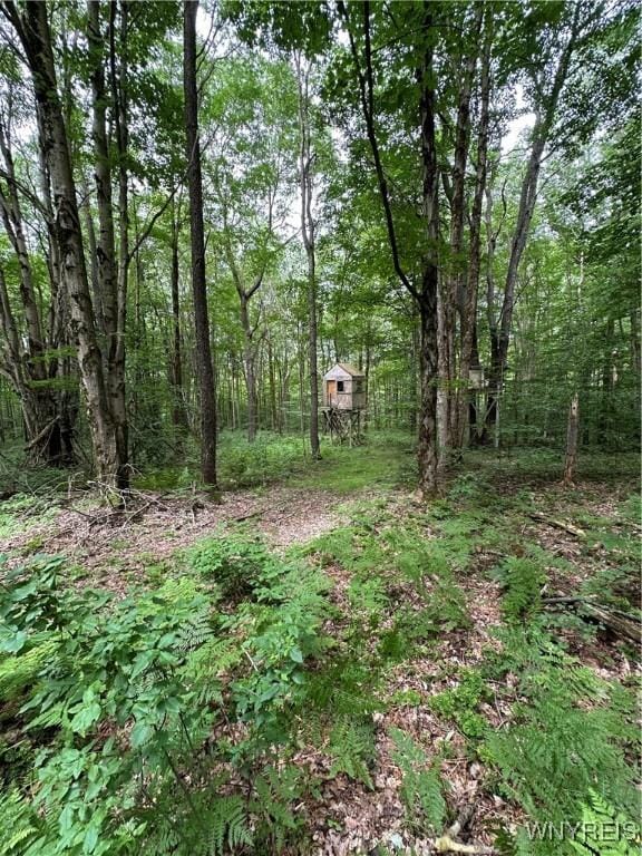 Listing photo 3 for 0 Simmons Rd, Ellicottville NY 14731