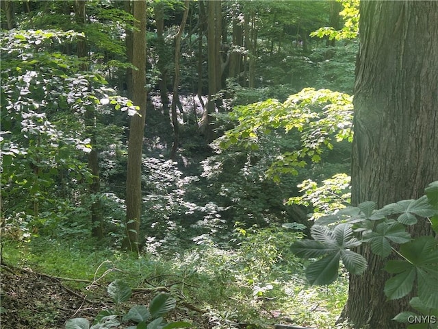 6095 N Main St E, Sandy Creek, NY 13145 - photo 3