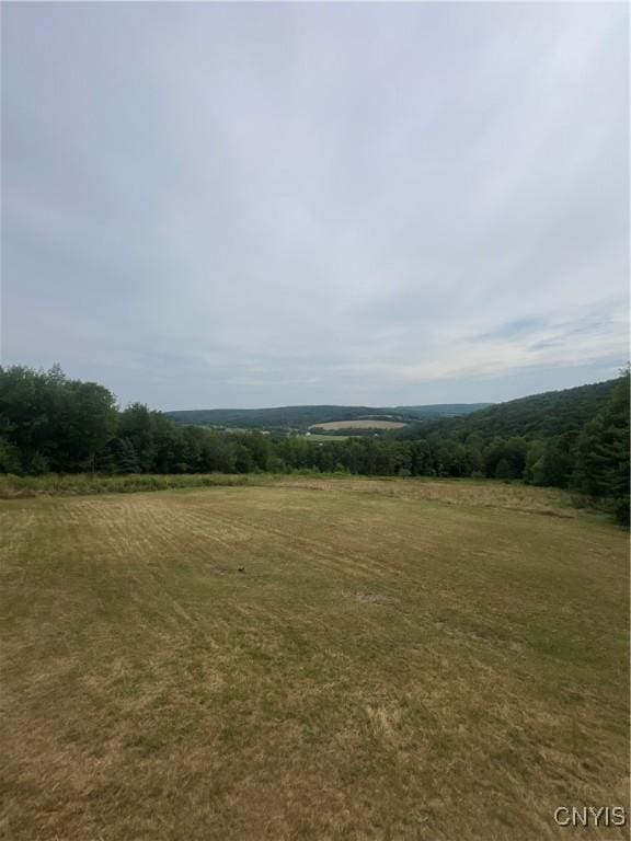 view of nature featuring a rural view