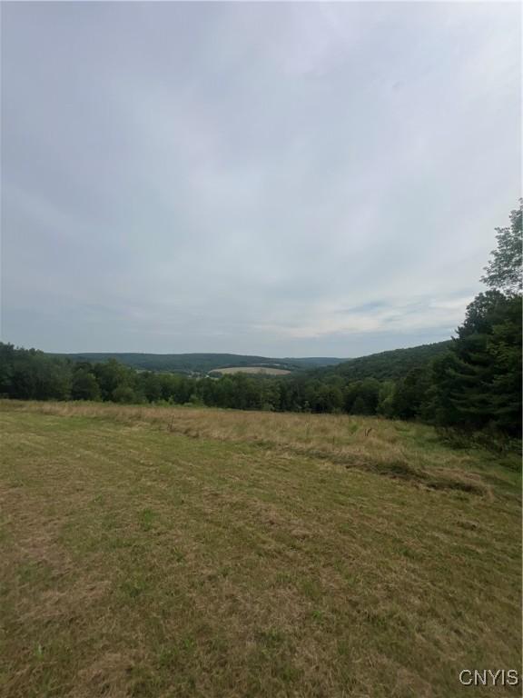 930 Reit Rd, Otselic, NY 13464 - photo 30