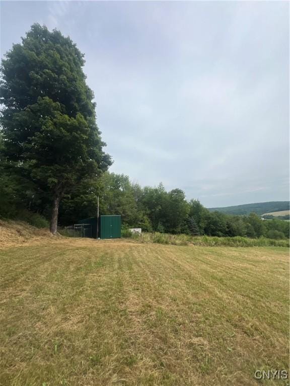 view of yard with a rural view