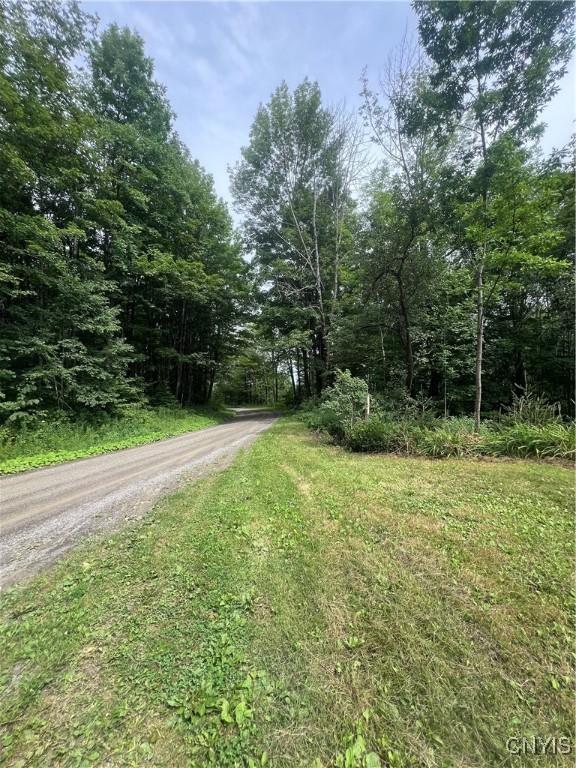 930 Reit Rd, Otselic, NY 13464 - photo 10
