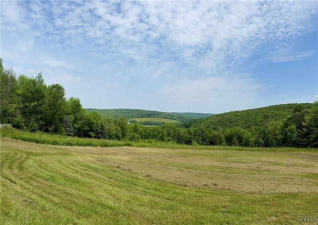 930 Reit Rd, Otselic, NY 13464 - photo 4