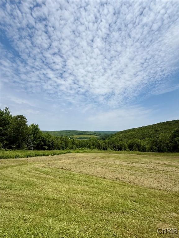 930 Reit Rd, Otselic, NY 13464 - photo 36