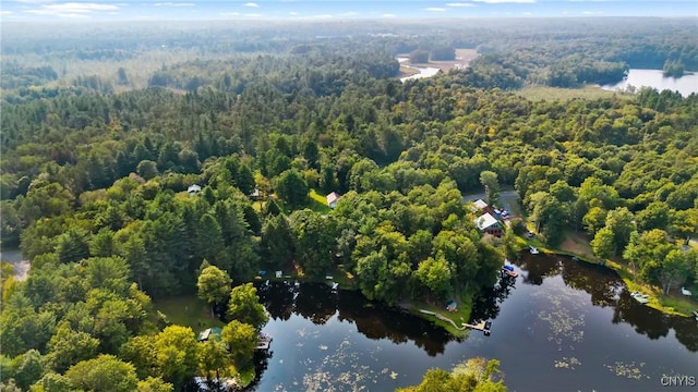 drone / aerial view with a water view and a wooded view