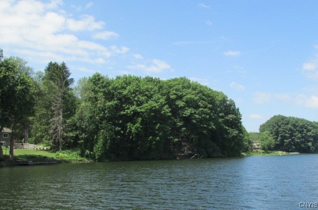 view of water feature