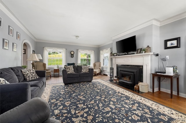 living room with light hardwood / wood-style floors and ornamental molding