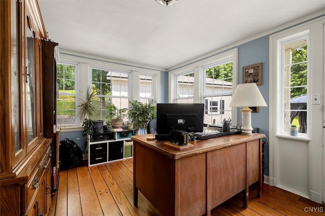 office space featuring a healthy amount of sunlight and wood-type flooring