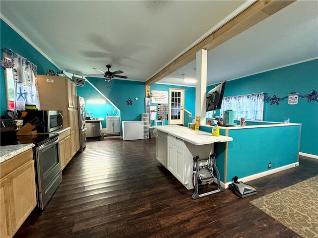 kitchen featuring ceiling fan, stainless steel appliances, dark wood-type flooring, and crown molding