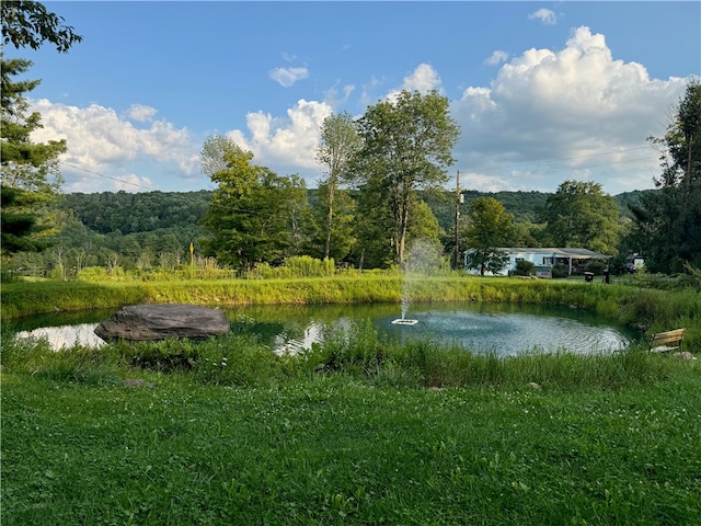 property view of water