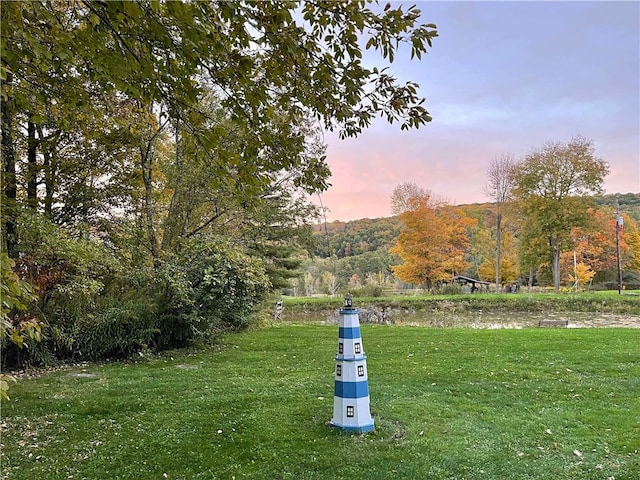 view of yard at dusk