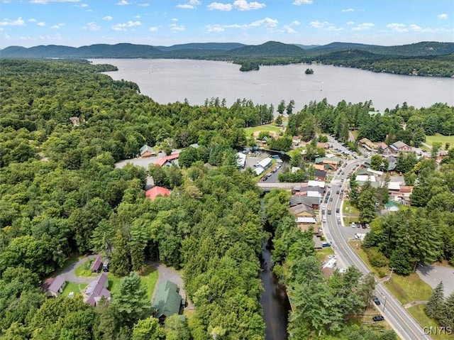 drone / aerial view featuring a water and mountain view