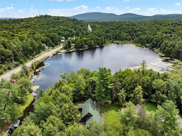 drone / aerial view featuring a water and mountain view