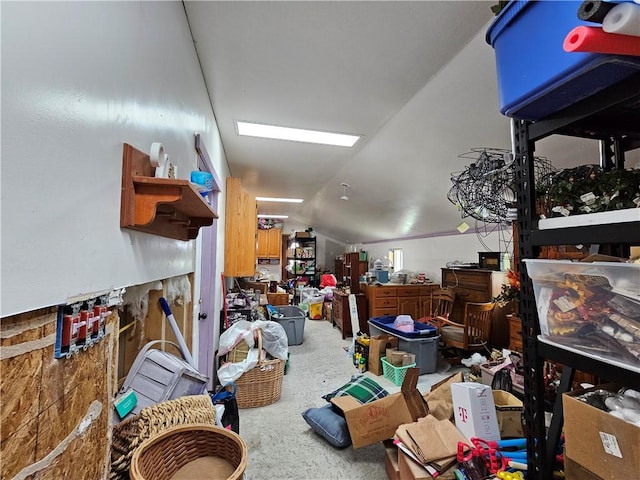 miscellaneous room with lofted ceiling