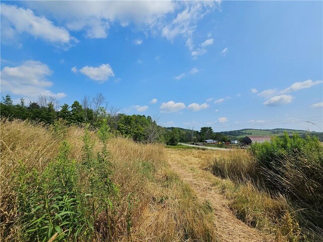 view of nature featuring a rural view