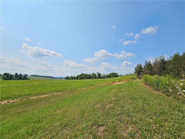 view of local wilderness featuring a rural view