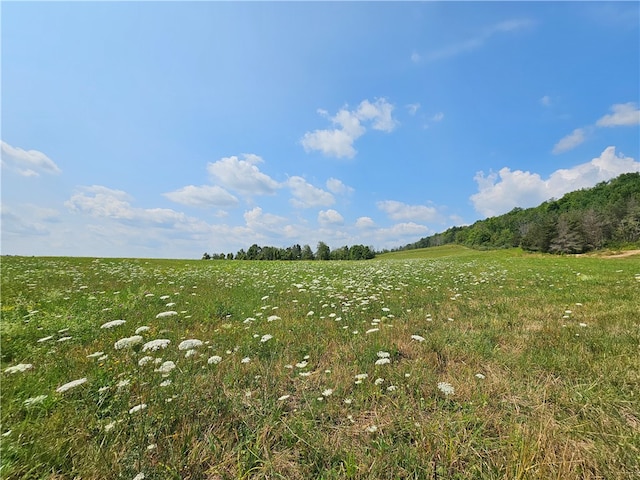 view of local wilderness featuring a rural view