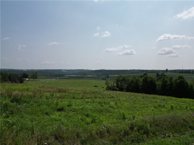 view of local wilderness with a rural view