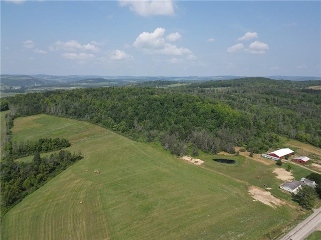 birds eye view of property with a forest view