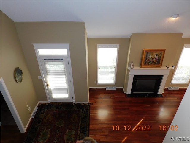 entryway with dark wood-type flooring and a wealth of natural light