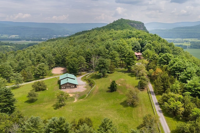 aerial view with a mountain view