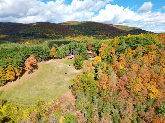 view of mountain feature