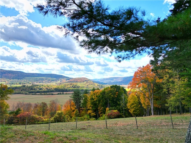 view of mountain feature