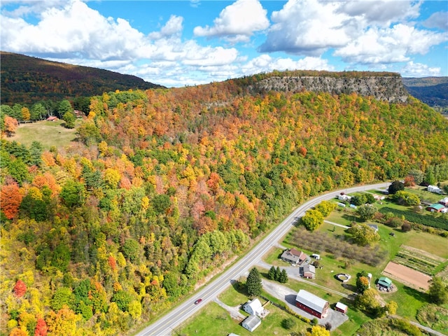 200 Onistagrawa Ln, Fulton, NY 12122 - bird's eye view of a heavily wooded area and a mountain backdrop
