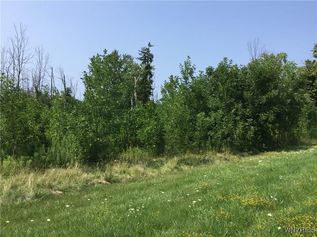 8996 Erie Rd, Evans, NY 14006 - photo 1