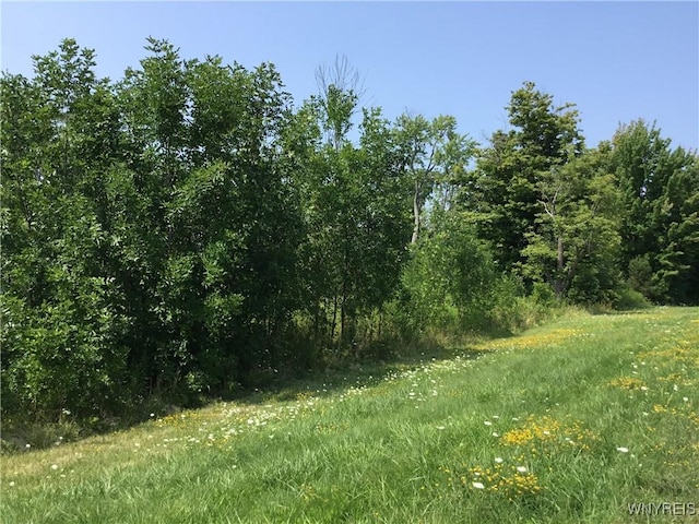 8996 Erie Rd, Evans, NY 14006 - photo 2