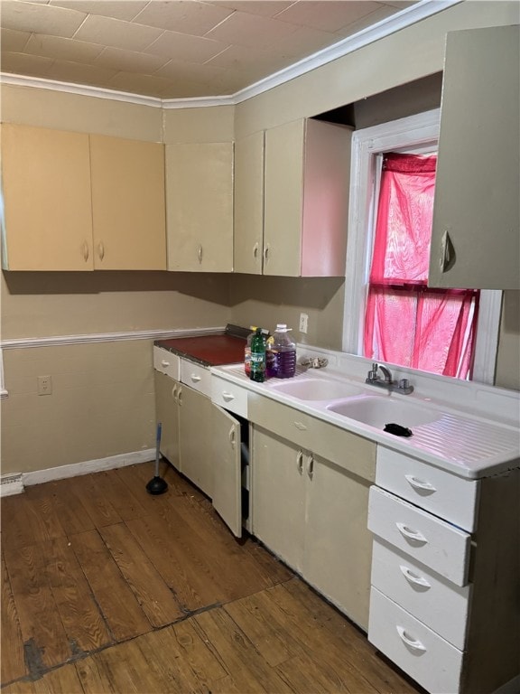 kitchen featuring sink and dark hardwood / wood-style flooring