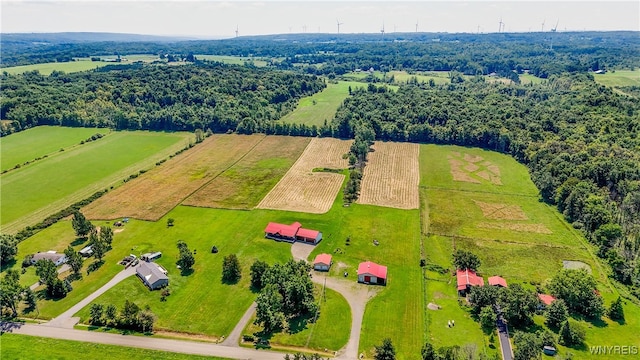 birds eye view of property featuring a rural view