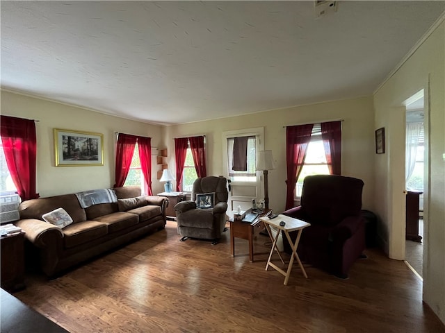 living room with a wealth of natural light and wood-type flooring