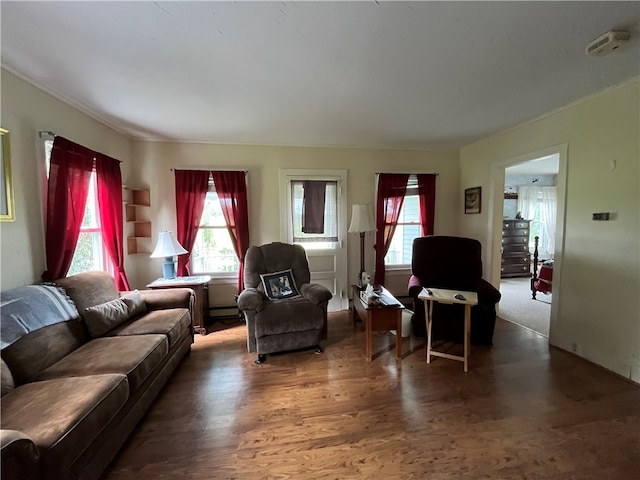 living room with hardwood / wood-style floors and a baseboard radiator