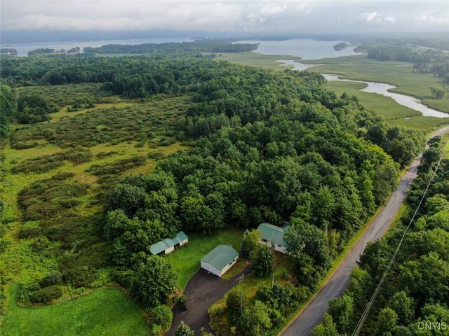 46745 Rte 1 S, Alexandria, NY 13607 - aerial view of property's location with a heavily wooded area and property parcel outlined