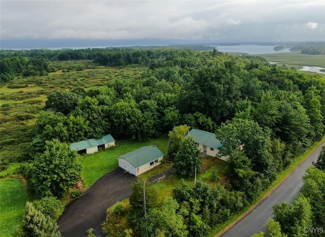 46745 Rte 1 S, Alexandria, NY 13607 - aerial view of property and surrounding area featuring a forest